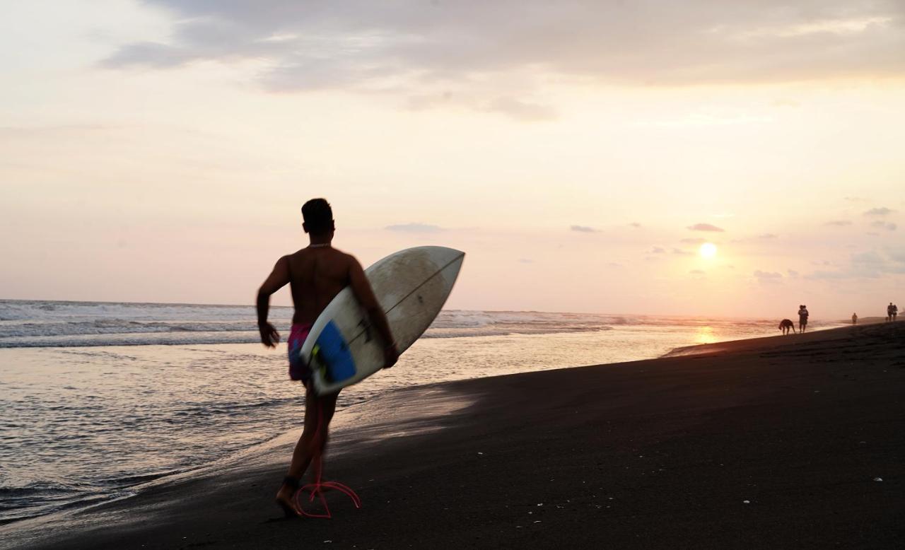 Shanti Surf Camp El Paredon Buena Vista Luaran gambar