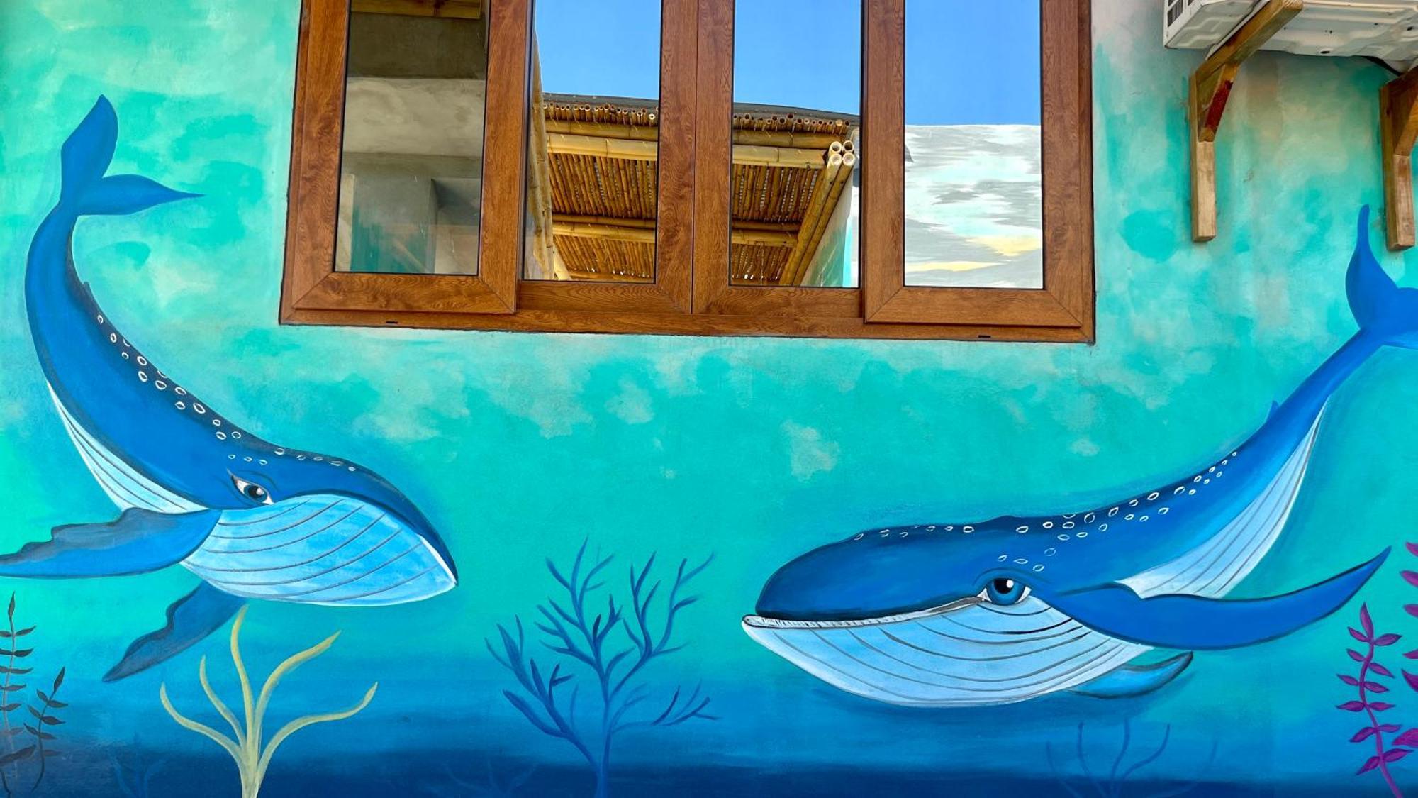 Shanti Surf Camp El Paredon Buena Vista Luaran gambar